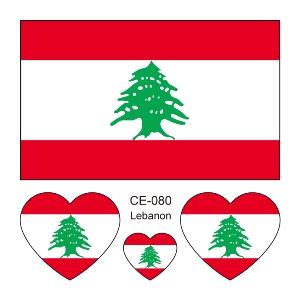 CE-080