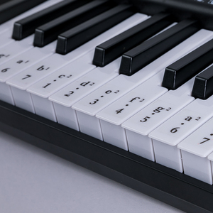 HUASHENG-teclado de Piano eléctrico para niños principiantes, instrumento con función de enseñanza, pantalla Digital de 3 dígitos, 61 teclas - Product Image 3