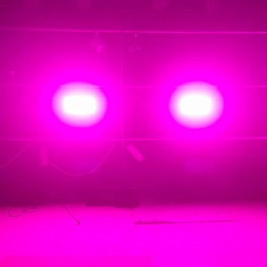 Drahtlose Steuerung 60W Mini LED Strobe RGBW 4 in1 48 Partition DMX Super helle DMX Dj Wasch stange Strobe Stage Lighting