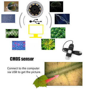 Portátil de alta definición de microscopio 500X 8 LED ajustable microscopio USB Digital de estudiante microscopio Monocular - Product Image 2