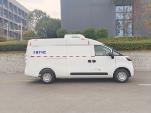 Mini đông lạnh hàng hóa Giao hàng xe nhỏ lạnh van tủ đông xe - Product Image 3