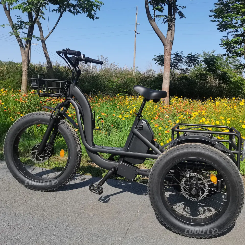 Design sorprendente trike 750W pneumatico grasso motore 3 ruote E triciclo tre ruote per adulti Cargo bici elettrica con cestello