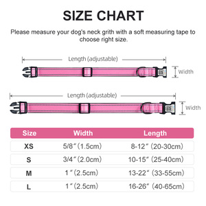 Personalized Various Patterns Software Ready Smart ID Floral Buckled Fashion <strong>Designer</strong> Custom Adjustable Nylon Luxury Dog Collar - Product Image 5