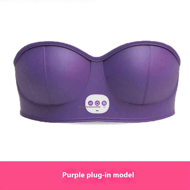 Prise violette