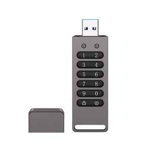 Best Selling Custom Logo Digital USB <strong>Flash</strong> Disk AES256-bit Hardware Password <strong>Encrypted</strong> USB <strong>Memory</strong> Stick OEM ODM OBM - Product Image 4