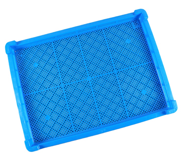 Bleu (Stock AE)