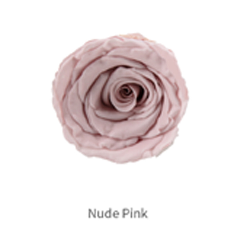 Nude Pink Grado B 8 Flores