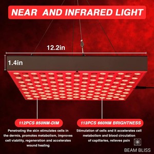 Ve uzak 45w terapiler Rdpro1500 yüksek kalite Led Stand nm 850nm kırmızı işık terapi lambası standı ile - Product Image 5