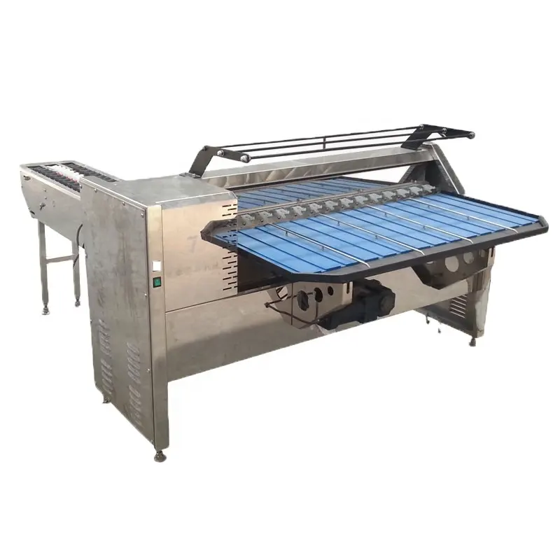 Auto Egg Grading Process Plant with Chicken Egg Washer