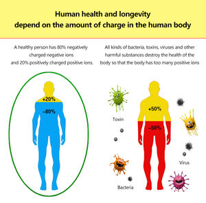 New arrivals ion cai nghiện Chân máy Spa kép ion cai nghiện <span class=keywords><strong>2</strong></span> vòng mảng và <span class=keywords><strong>2</strong></span> thắt lưng cho spa và salon - Product Image 4