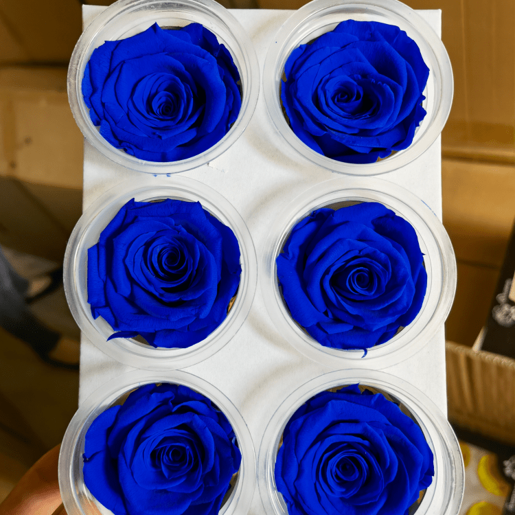 Azul oscuro