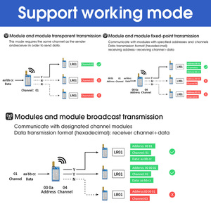 Entwickler kit LoRa-Modul Basismodell der LRO2-Serie DIP LoRaWAN 433MHz 22dBm IPEX/Stempel loch Drahtloses Modul Watchdog TTL/RSSI/LBT