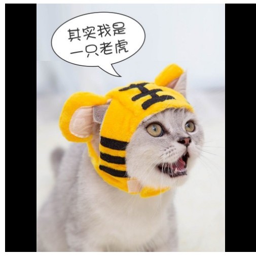 Tiger hat