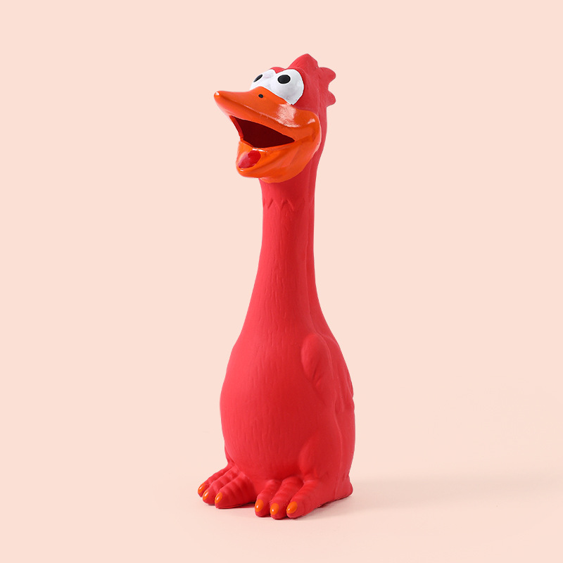 Poulet rouge à grande bouche