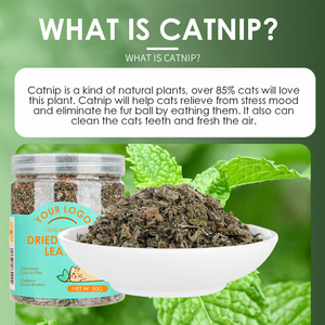 Hoja de hierba gatera seca Natural de calidad superior de etiqueta privada para gatos Hierbas de hierba gatera secas al aire Safe 100% Pure Catnip