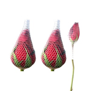 Lưới Bảo Vệ Tay Áo Hoa Hồng Lưới Bọc Hoa Màu Đỏ Cho Hoa, Lưới Trang Trí Hoa - Product Image 1