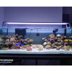 Без вспышки 30 см до 120 см для аквариума, морское освещение, mayin light sperately контроллер, светодиодные аквариумные огни - Product Image 3