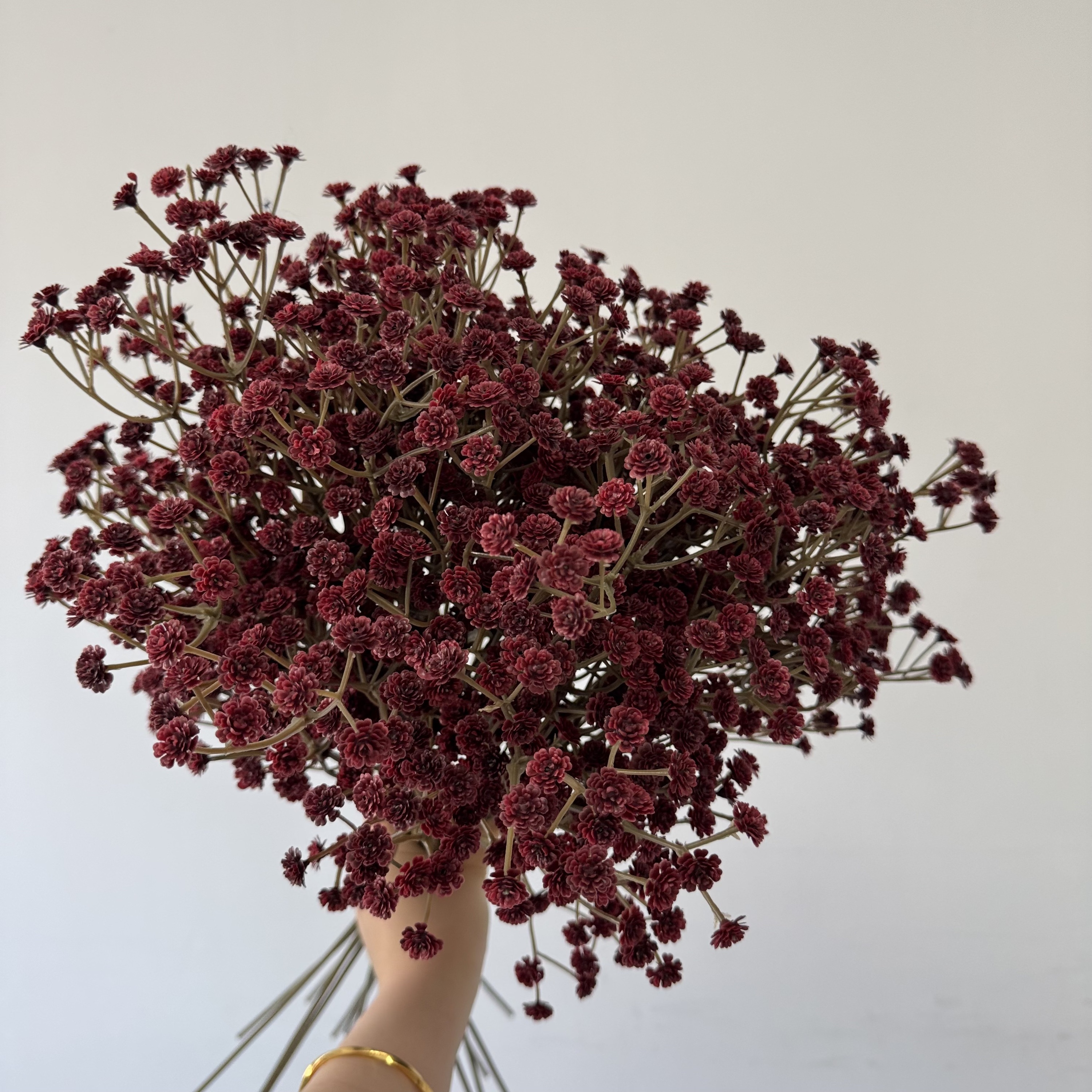 #5 burgundy-single