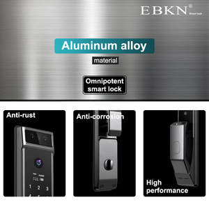 Buona vendita veloce riconoscimento Tuya Intercom serrature e maniglie Smart Lock porta - Product Image 6