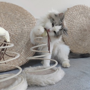 互动猫抓挠娱乐盘毛绒弹簧盘逗弄猫玩具鼠标螺旋钢丝弹簧亚麻盘猫玩具 - Product Image 2