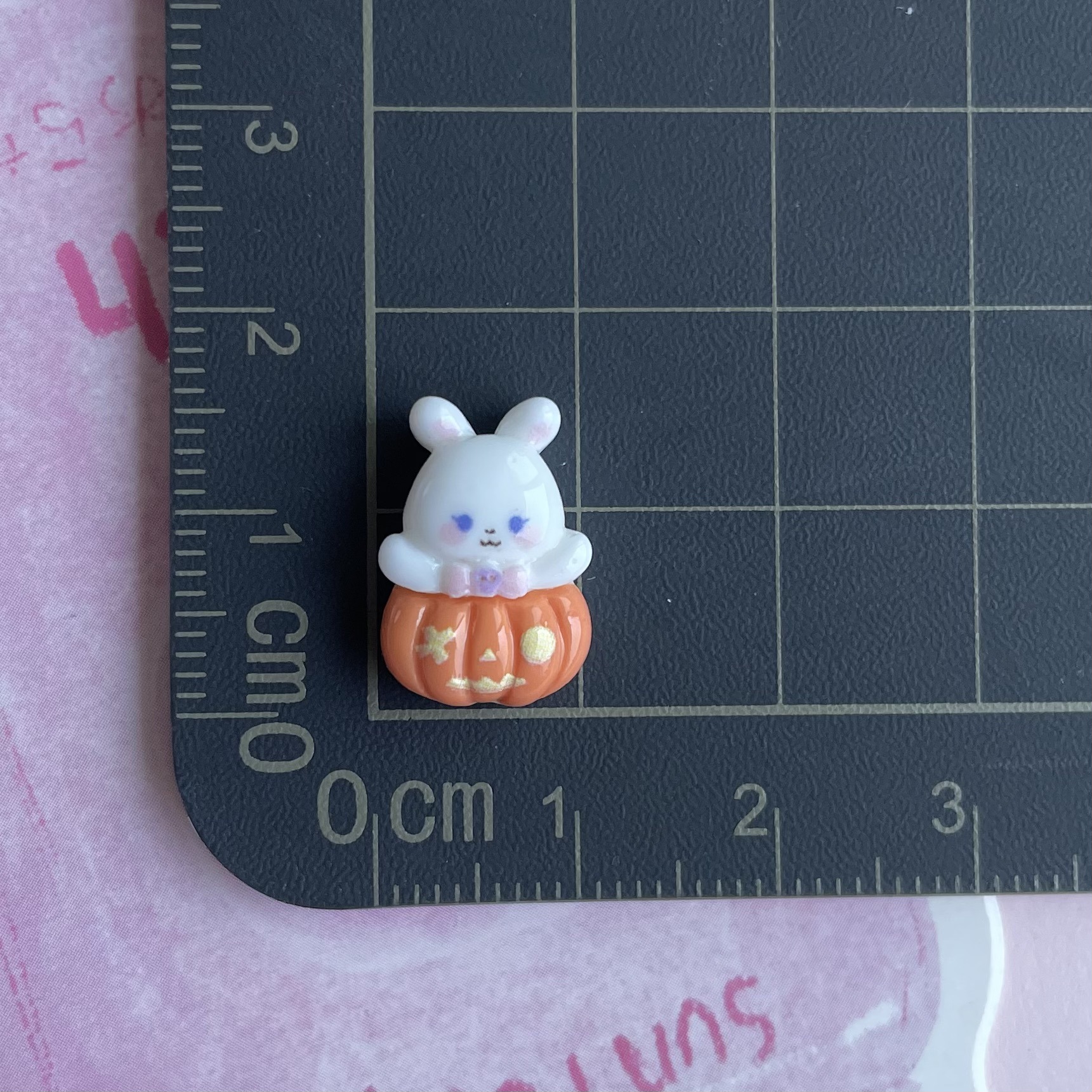07 mini pumpkin bunny