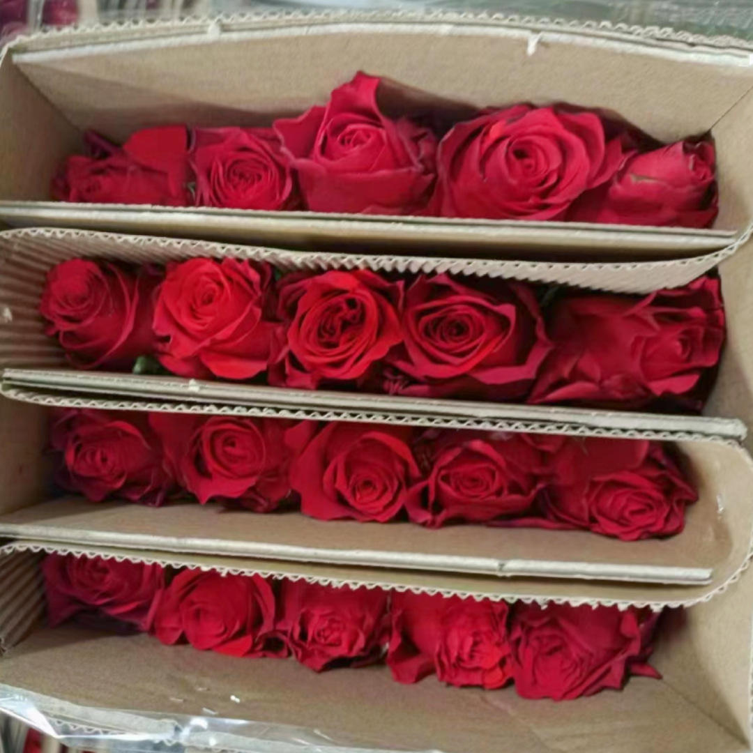 Cherish (20 pièces)