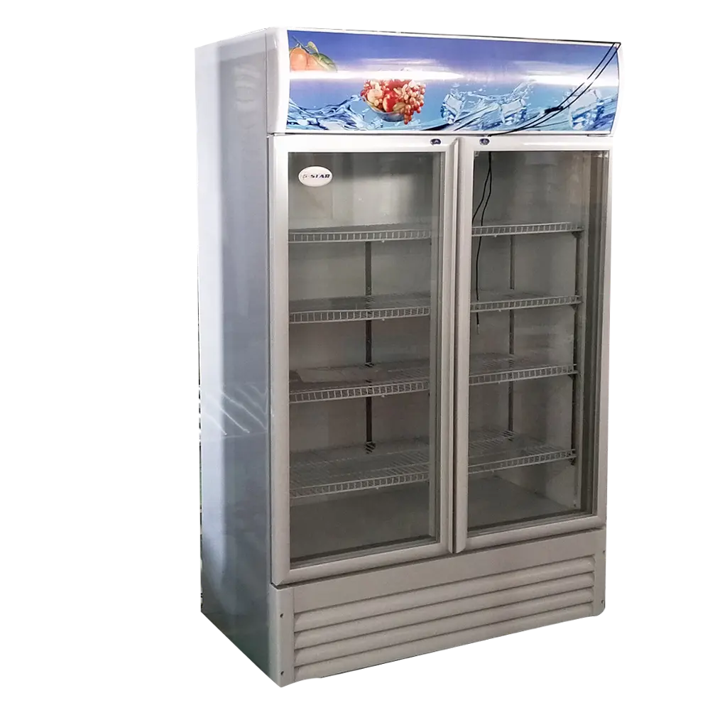 Refrigerador de vitrina con doble puerta de cristal, 600l, para supermercado, venta al por menor, nevera vertical para mantener fresca la exhibición