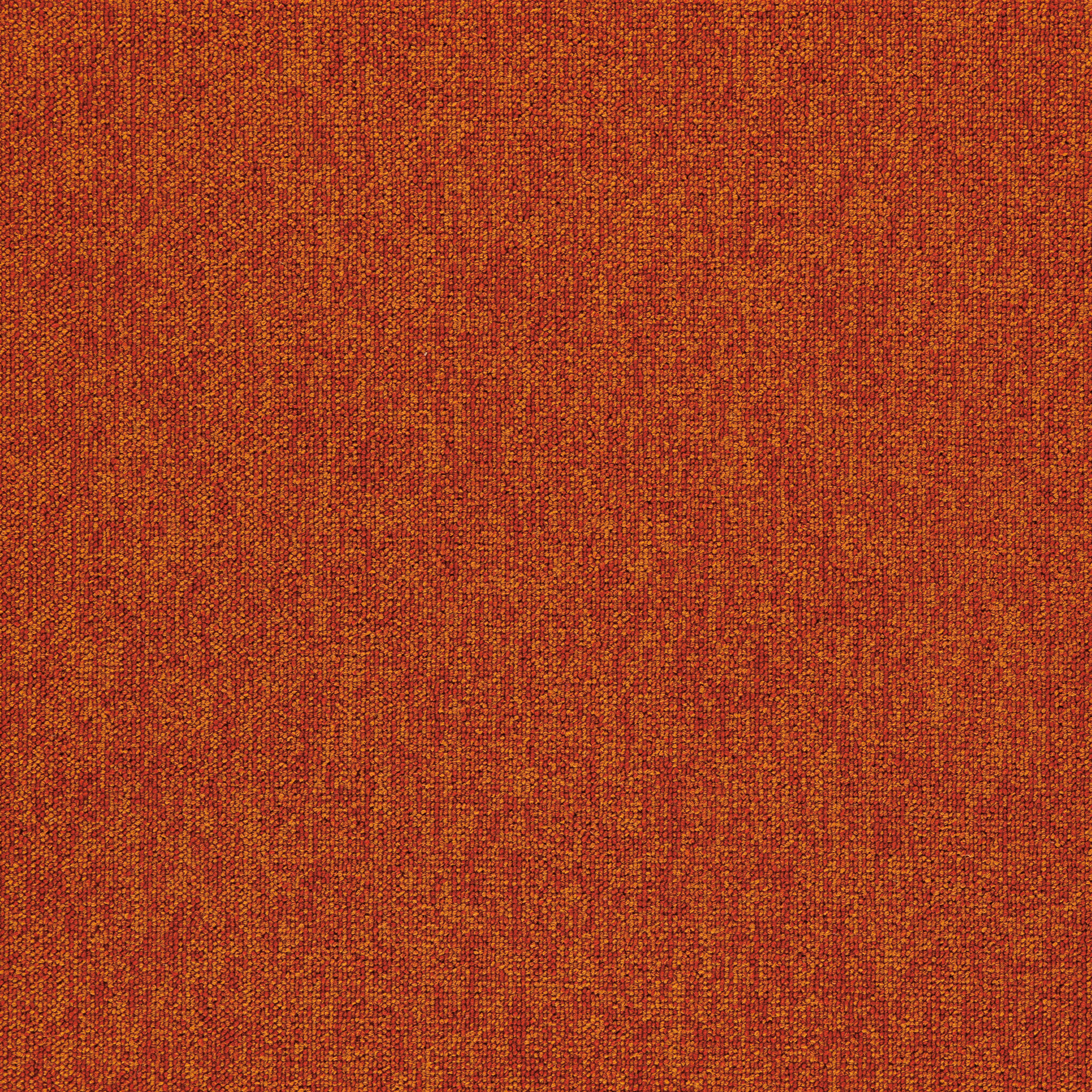 rouge13