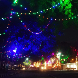 45ft Dekoration Solar <span class=keywords><strong>String</strong></span> Lampe S14 Led <span class=keywords><strong>Light</strong></span> <span class=keywords><strong>String</strong></span> RGB Musik modus App Wifi Hochzeit Halloween Solar Licht für Hinterhof