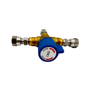 CTF-4 Compressed Natural Gas Cylinder Valve for Cng Bus Gas Filling Panel - Product Image 1