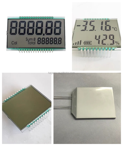 Instrumento médico profesional personalizado Módulo de pantalla LCD tipo STN de 7 segmentos Módulo LCD de reproductor de música tipo Cog - Product Image 4