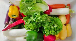 WA-1000 lift-loại Lê cà chua hạt tiêu Lettu làm sạch máy giặt máy thịt trái cây rau máy giặt - Product Image 3