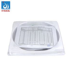 HSGQ Ftth Fttx <strong>Network</strong> SC/APC Mini Type 1x16 Fiber Optical PLC Splitter with High Quality Chip - Product Image 6