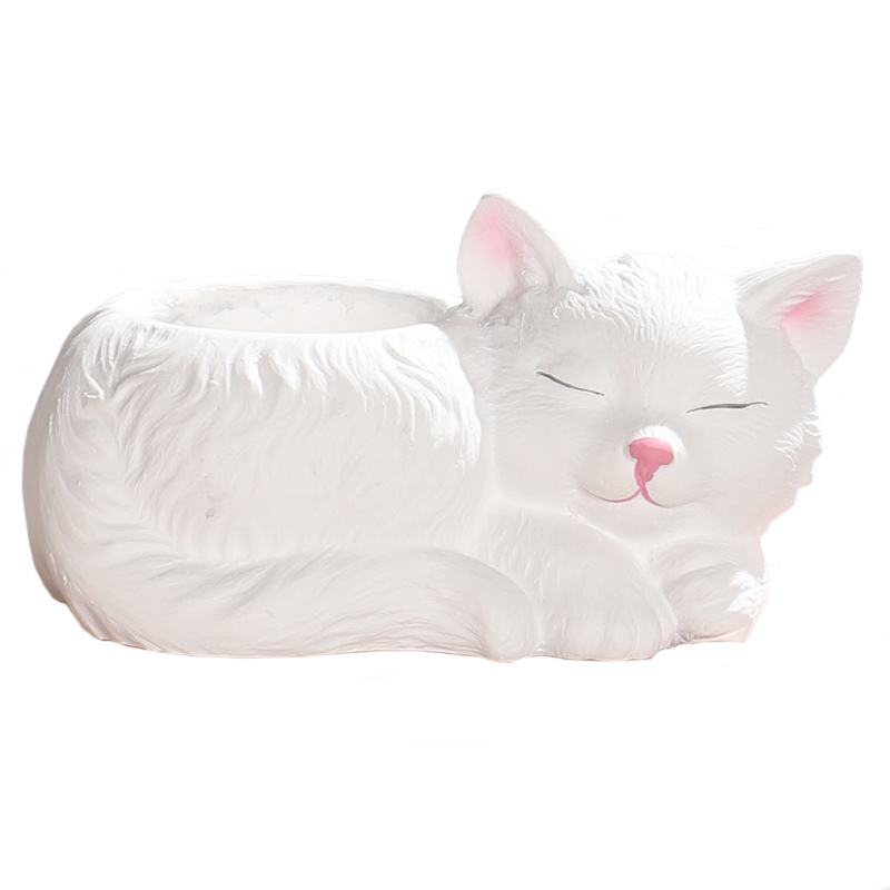 Como muestra la imagen