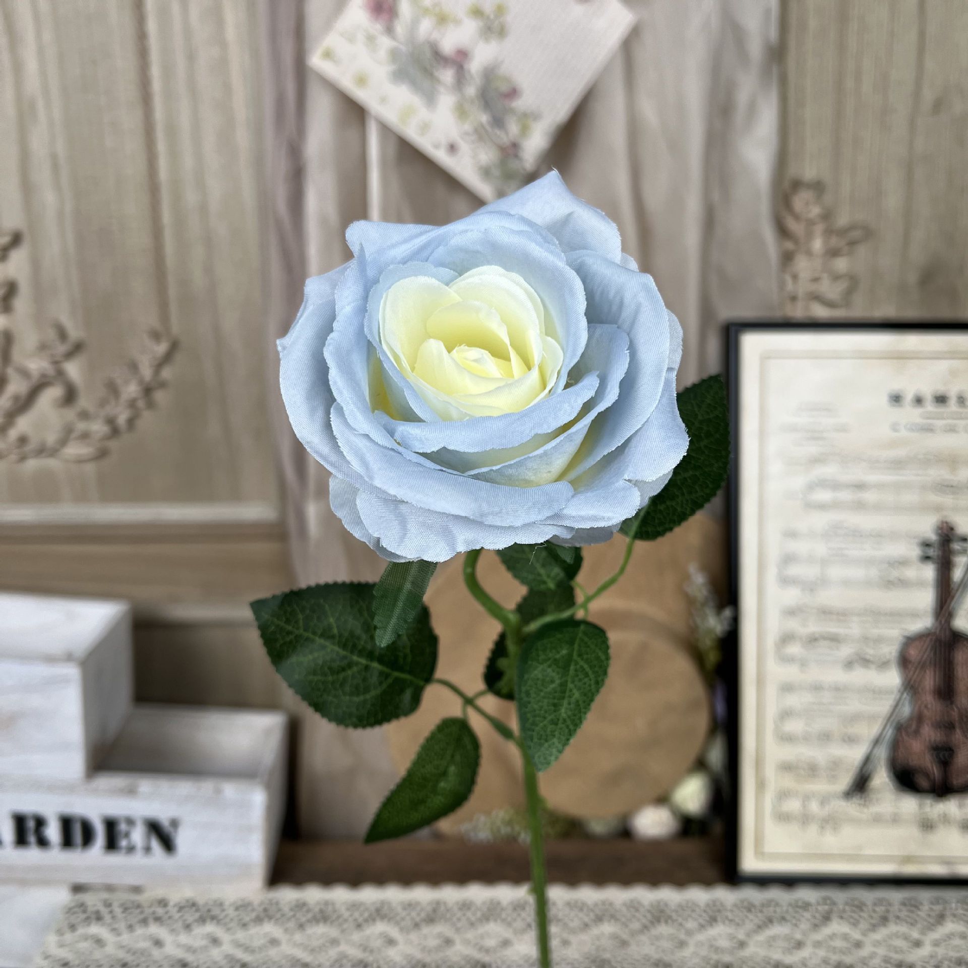 Mi-sola gran rosa-azul y blanco
