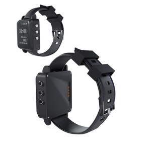 Đồng hồ không dây ACLW3 LoRa Spread Spectrum tầm xa 15KM với chức năng giám sát CAD cho hệ thống an toàn công nghiệp và sử dụng kỹ thuật - Product Image 5