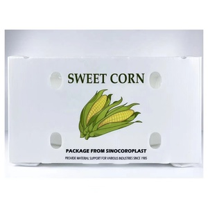 卸売り<span class=keywords><strong>PP</strong></span>段ボールブロッコリースイートコーン貯蔵ビン中空ポリ防水シーフードプラスチック包装用回転箱