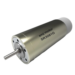 Japanische Technologie langlebige 24V Roboter Servomotor DC Bürsten motor mit Encoder - Product Image 1