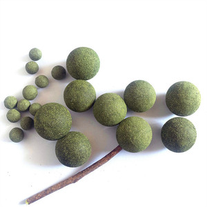 Custom Packaging <strong>Cat</strong> <strong>Catnip</strong> Toy Snacks Wholesale Interactive <strong>Catnip</strong> Mouse Fish Carrot <strong>Catnip</strong> Lollipop