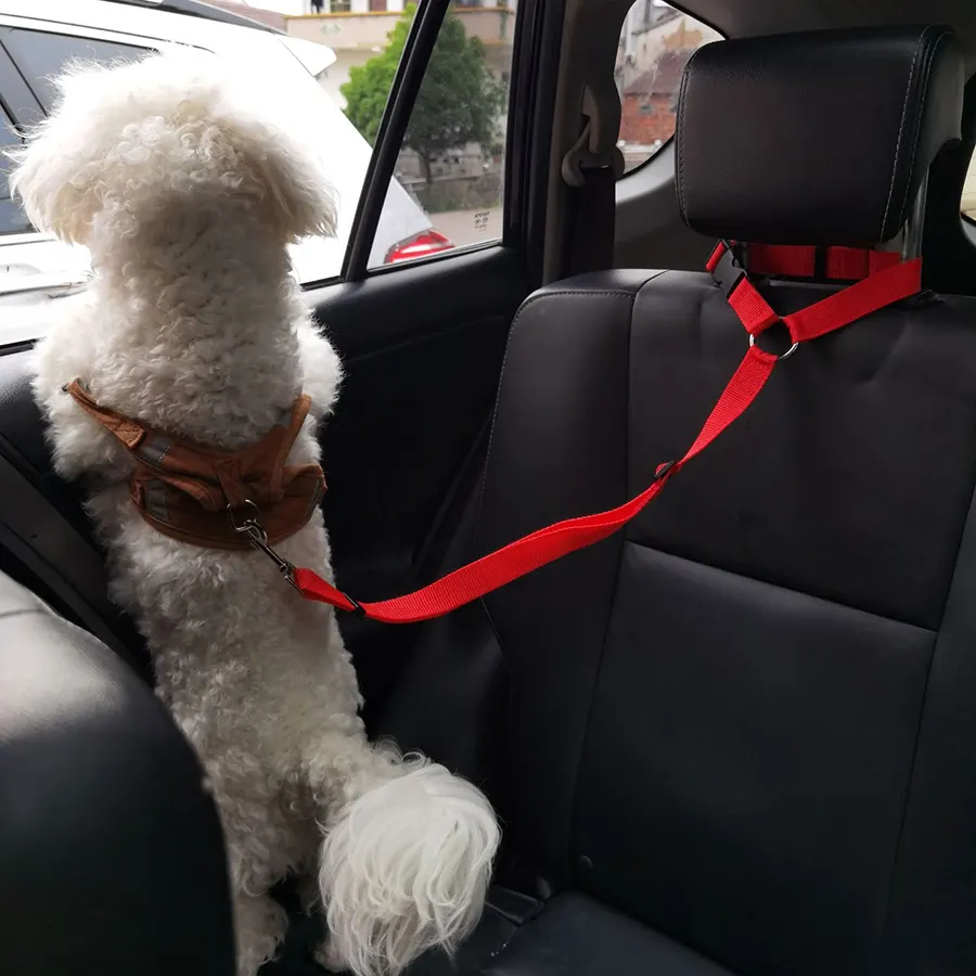 Hot Sale Huisdier Veiligheid Leads Hond Autoriem Huisdier Veilige Halsband In Auto