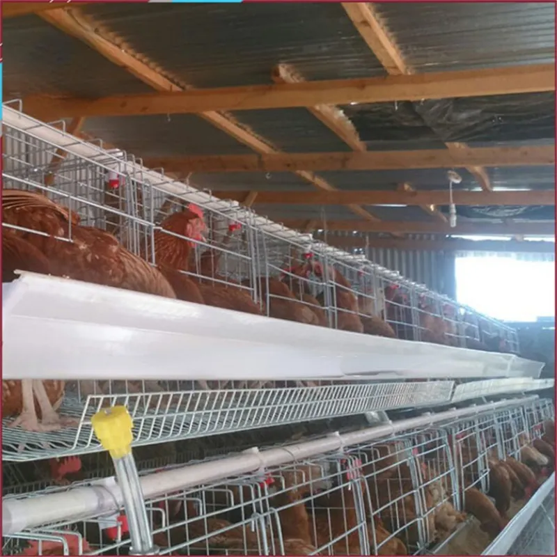 New design 3 tier 120 capacity layer chicken cage poultry farm for nigeria with great price