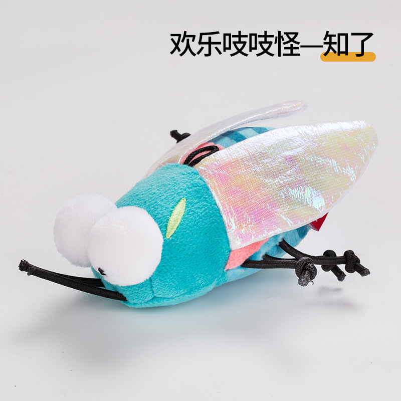 cicada
