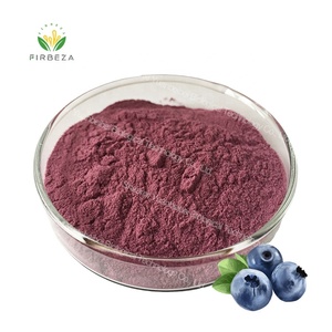Низкая цена, порошок экстракта черники 20:1, чистый органический порошок фруктового сока в европейском стиле - Product Image 6