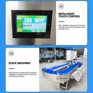 Commercial Weight Sorter <strong>Machine</strong> Fruits High Capacity Potato <strong>Sorting</strong> Grading <strong>Machine</strong> Fruit <strong>and</strong> Vegetable <strong>Sorting</strong> <strong>Machine</strong> - Product Image 6