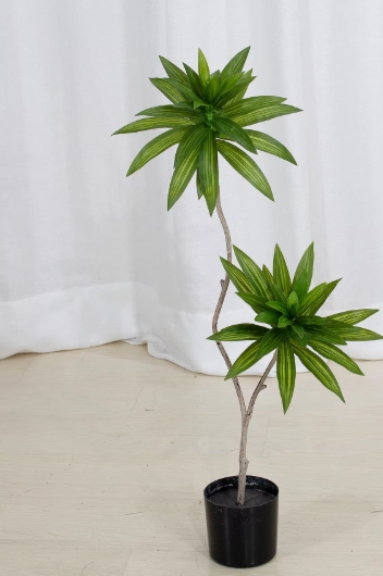 lirio verde bambú 100-210cm