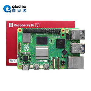 Raspberry Pi 5 Entwicklungs board