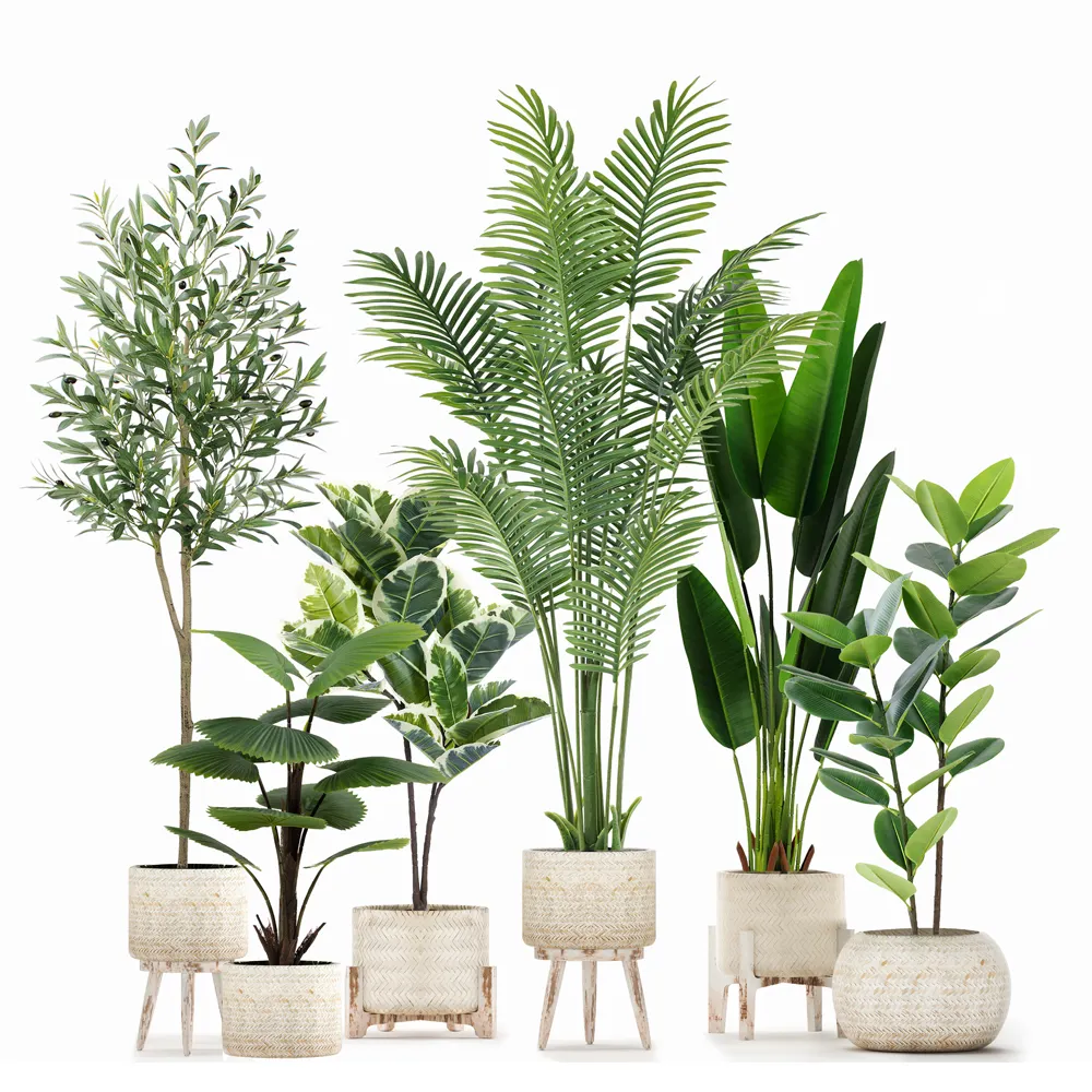 Tropical Faux Areca Palma Verde Monstera Bonsai Macetas de plástico falsas Jardín Interior Decoración para el hogar Plantas de olivo Árboles artificiales