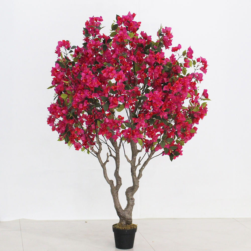 180CM Bougainvillea