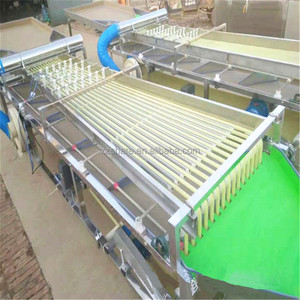 <strong>Automation</strong> Grading <strong>Machine</strong> Fruit Cherry Tomato Dragon <strong>Sorting</strong> <strong>Machine</strong> Adjustable Roller for Potato Tomato Grading - Product Image 3