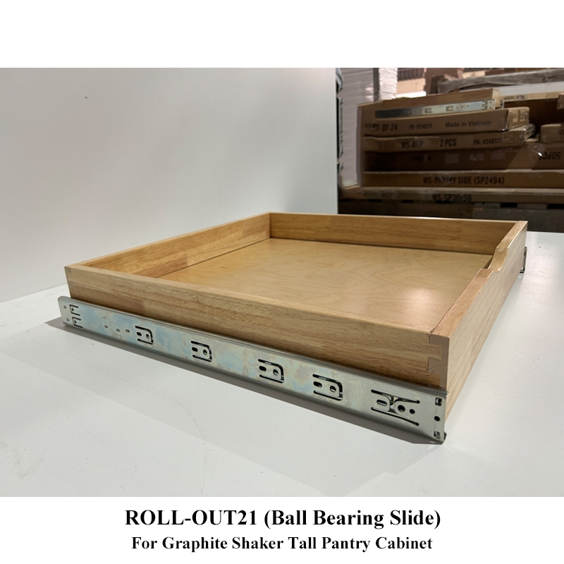 Slitta cuscinetto ROLL-OUT21-Ball